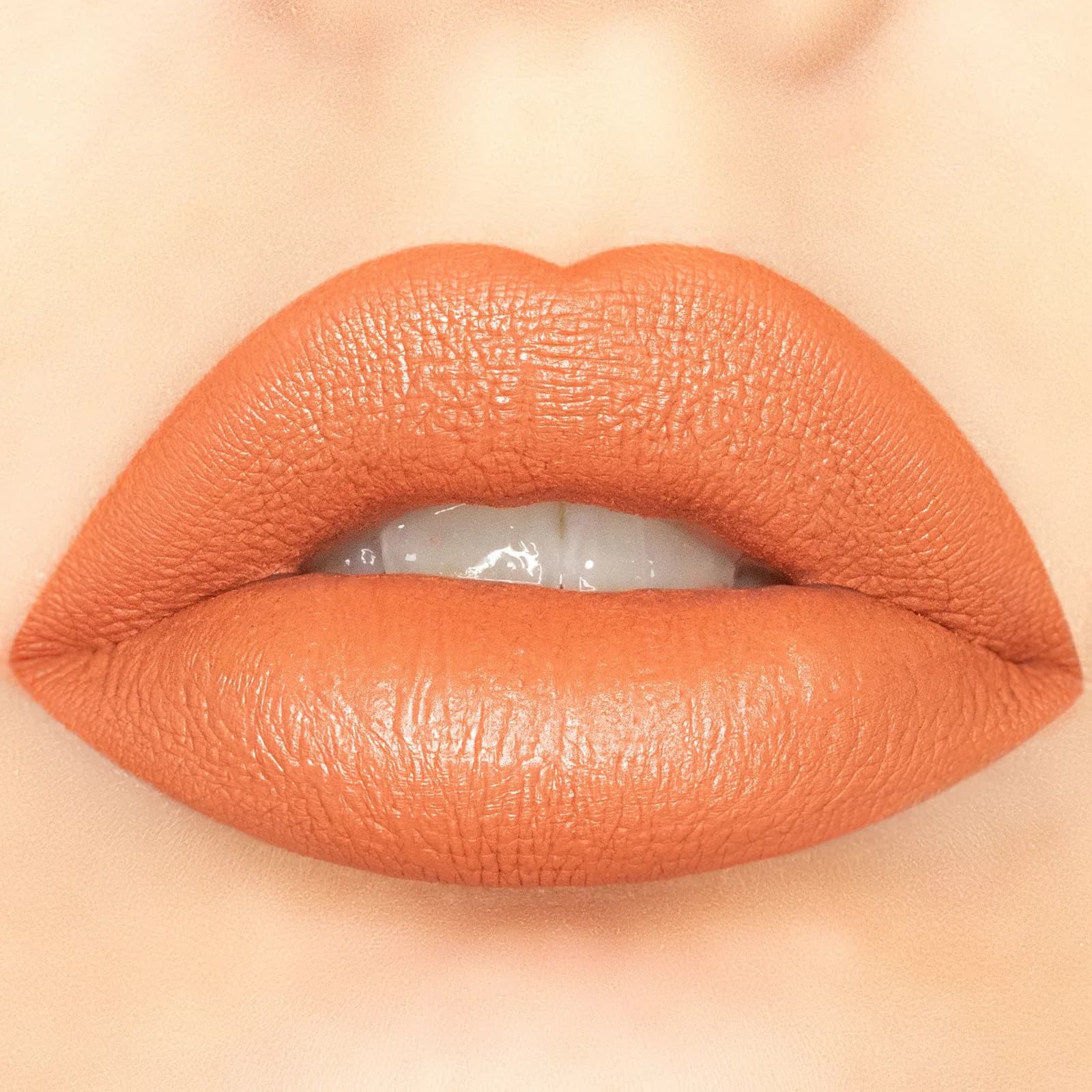 Nude Brick - Velvety Kiss Matte Liquid Lipstick - foto 2
